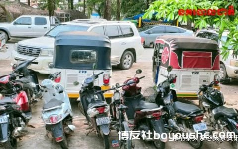 西港警方捣毁斗鸡赌博窝点，8名赌徒被捕！