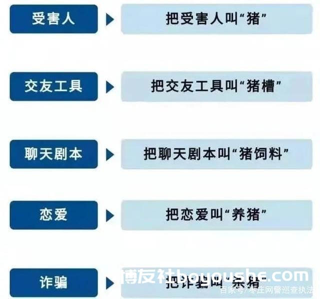 嘉兴女子误陷“杀猪盘”，半个月55万打水漂