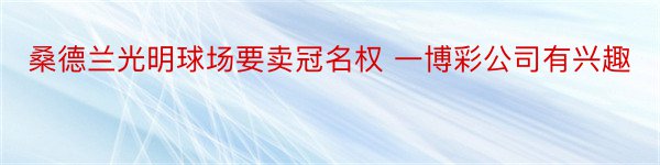 桑德兰光明球场要卖冠名权 一博彩公司有兴趣