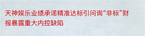 天神娱乐业绩承诺精准达标引问询“非标”财报暴露重大内控缺陷