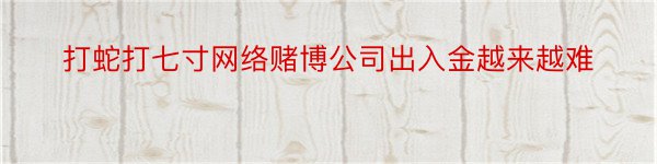 打蛇打七寸网络赌博公司出入金越来越难