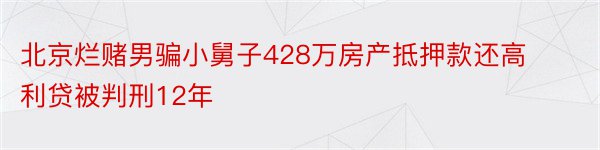 北京烂赌男骗小舅子428万房产抵押款还高利贷被判刑12年