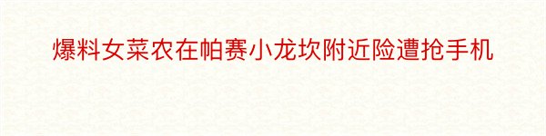 爆料女菜农在帕赛小龙坎附近险遭抢手机