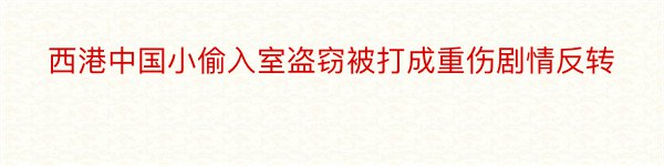 西港中国小偷入室盗窃被打成重伤剧情反转