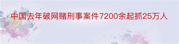 中国去年破网赌刑事案件7200余起抓25万人