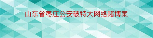 山东省枣庄公安破特大网络赌博案