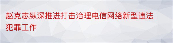 赵克志纵深推进打击治理电信网络新型违法犯罪工作