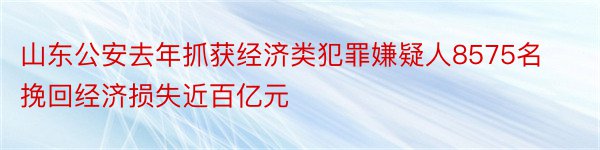 山东公安去年抓获经济类犯罪嫌疑人8575名挽回经济损失近百亿元