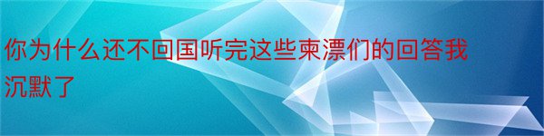 你为什么还不回国听完这些柬漂们的回答我沉默了