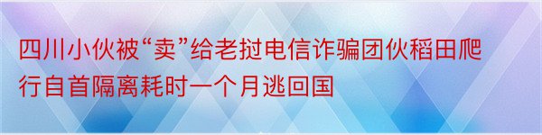 四川小伙被“卖”给老挝电信诈骗团伙稻田爬行自首隔离耗时一个月逃回国