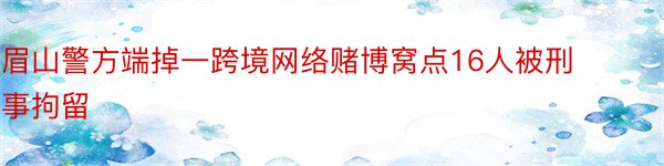 眉山警方端掉一跨境网络赌博窝点16人被刑事拘留