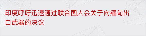 印度呼吁迅速通过联合国大会关于向缅甸出口武器的决议