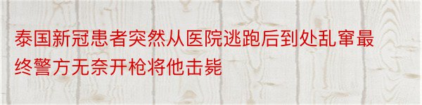 泰国新冠患者突然从医院逃跑后到处乱窜最终警方无奈开枪将他击毙