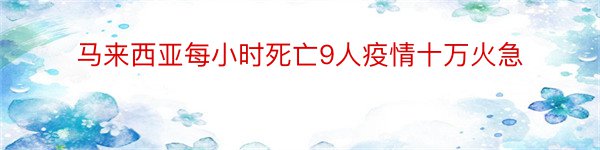 马来西亚每小时死亡9人疫情十万火急