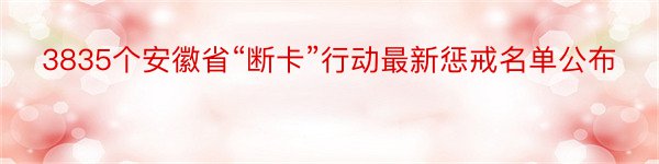 3835个安徽省“断卡”行动最新惩戒名单公布