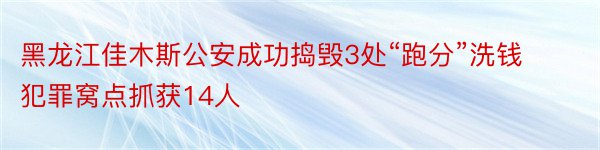 黑龙江佳木斯公安成功捣毁3处“跑分”洗钱犯罪窝点抓获14人