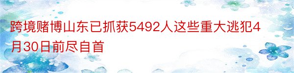 跨境赌博山东已抓获5492人这些重大逃犯4月30日前尽自首