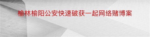 榆林榆阳公安快速破获一起网络赌博案