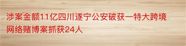 涉案金额11亿四川遂宁公安破获一特大跨境网络赌博案抓获24人