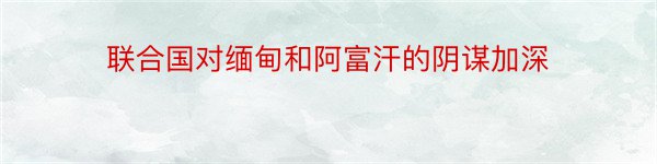 联合国对缅甸和阿富汗的阴谋加深