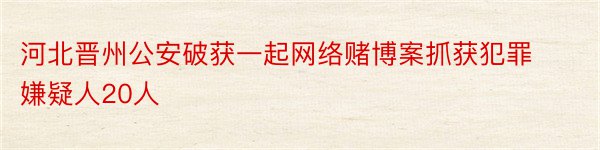 河北晋州公安破获一起网络赌博案抓获犯罪嫌疑人20人