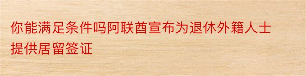 你能满足条件吗阿联酋宣布为退休外籍人士提供居留签证