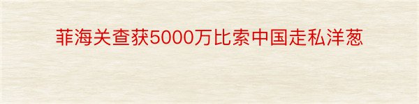 菲海关查获5000万比索中国走私洋葱