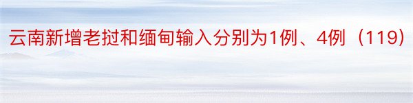 云南新增老挝和缅甸输入分别为1例、4例（119）