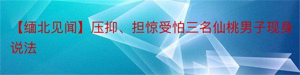 【缅北见闻】压抑、担惊受怕三名仙桃男子现身说法