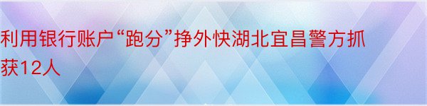 利用银行账户“跑分”挣外快湖北宜昌警方抓获12人