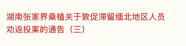 湖南张家界桑植关于敦促滞留缅北地区人员劝返投案的通告（三）